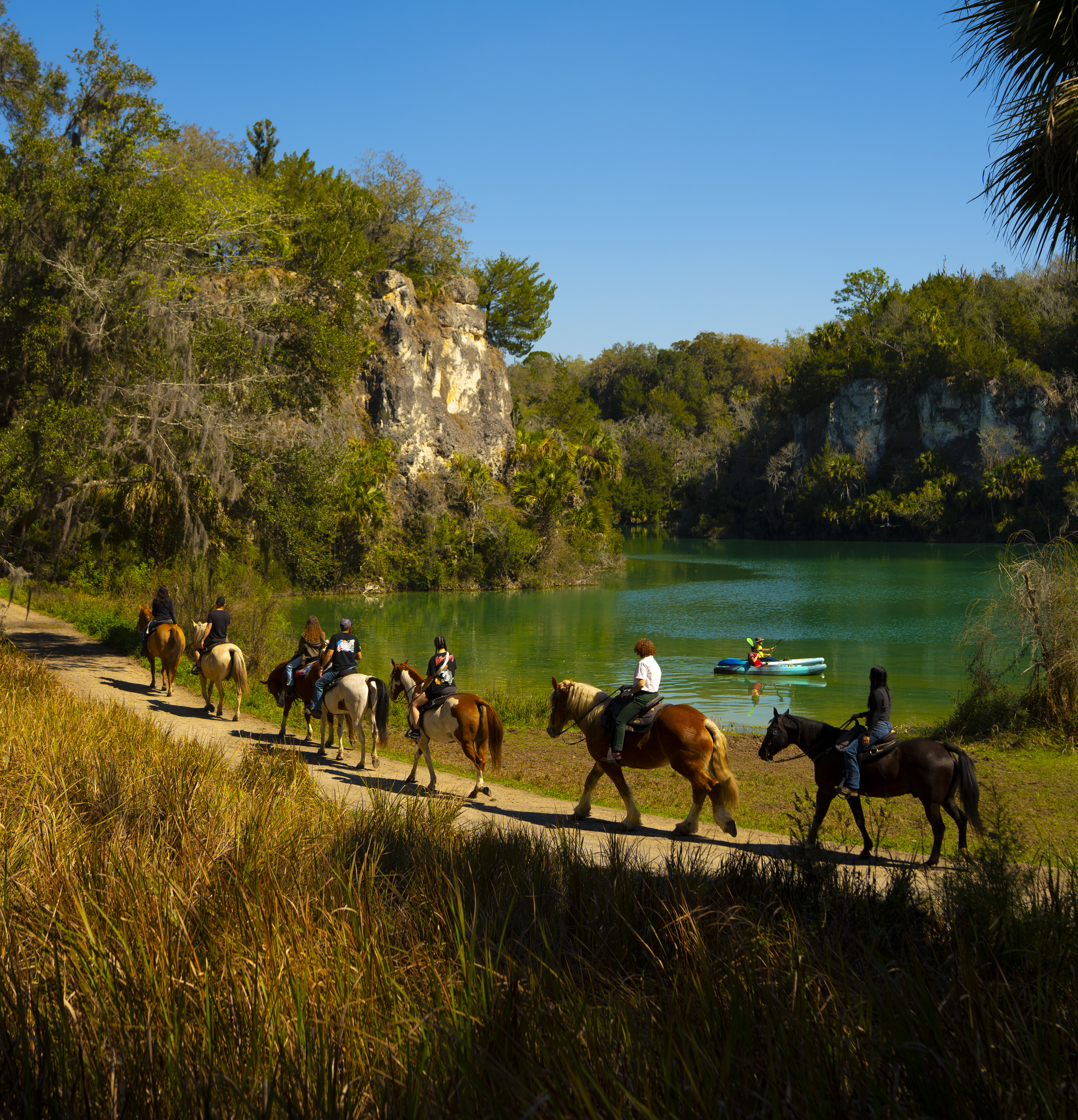 Horseback Tours
